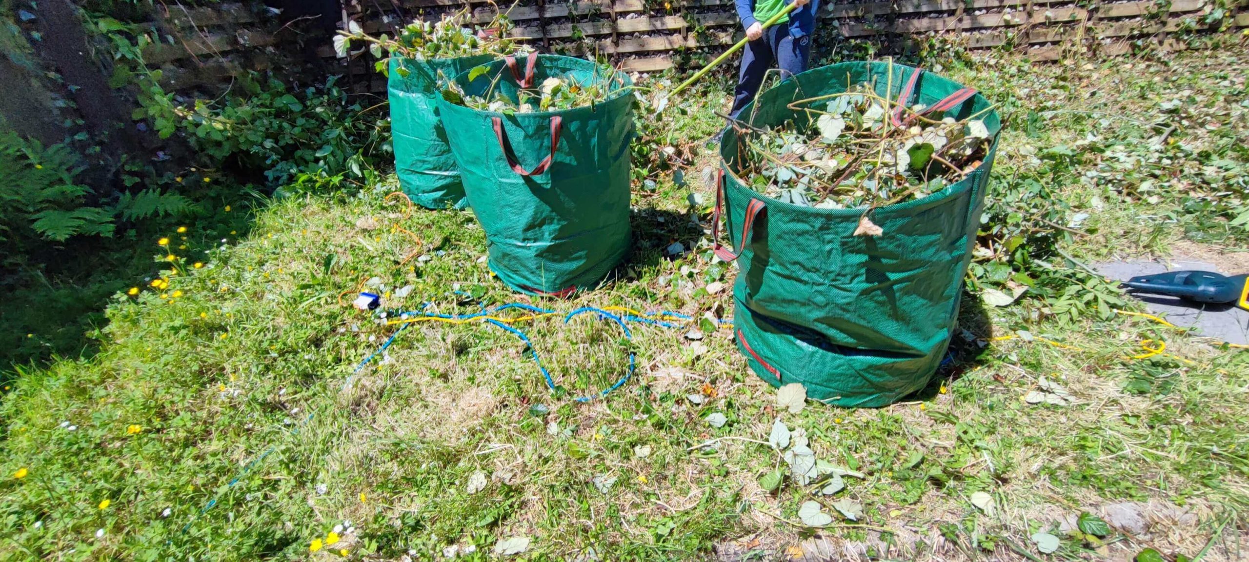 Green Waste Removals Southfields SW18