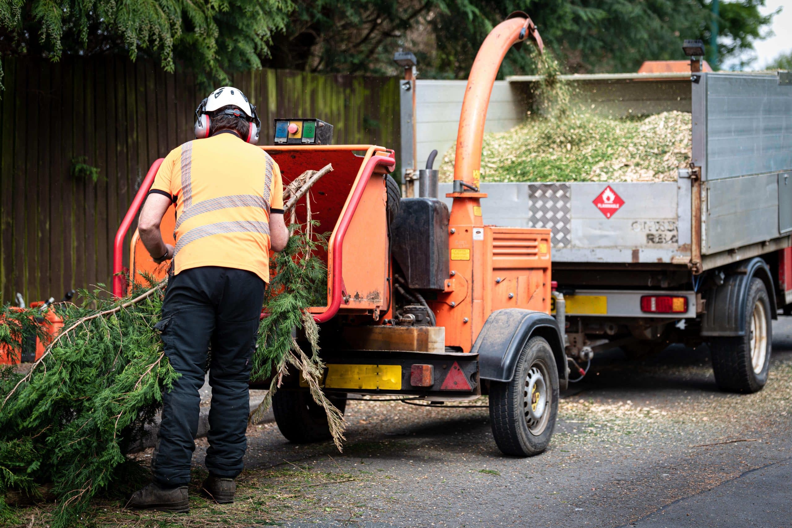 Tree Stump Grinding/Removal Southfields SW18